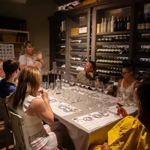 Wine making experience with winery tour and dinner in Chianti