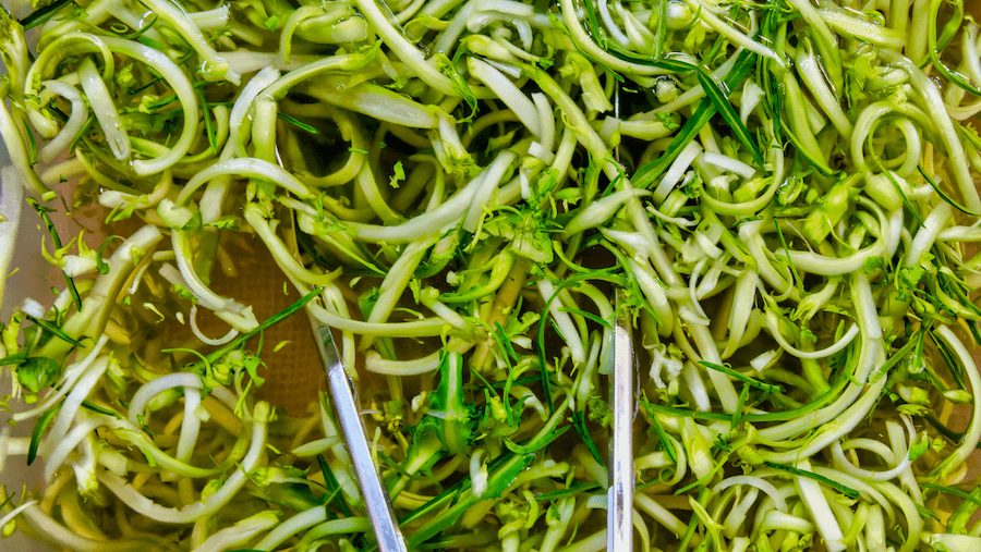 puntarelle roman food