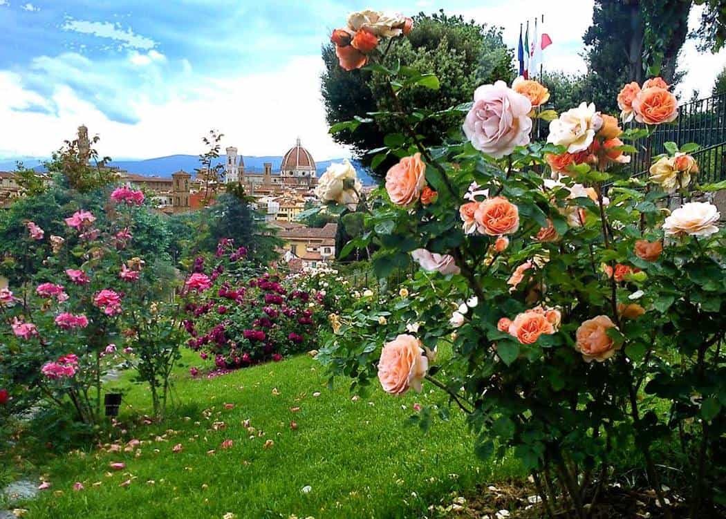 best panoramic view in florence: rose garden florence