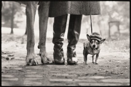 La fotografia di Elliot Erwitt a Palazzo Bonaparte a Roma.
