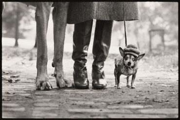 Palazzo Bonaparte hosts the late Elliot Erwitt and his legacy of witty photography