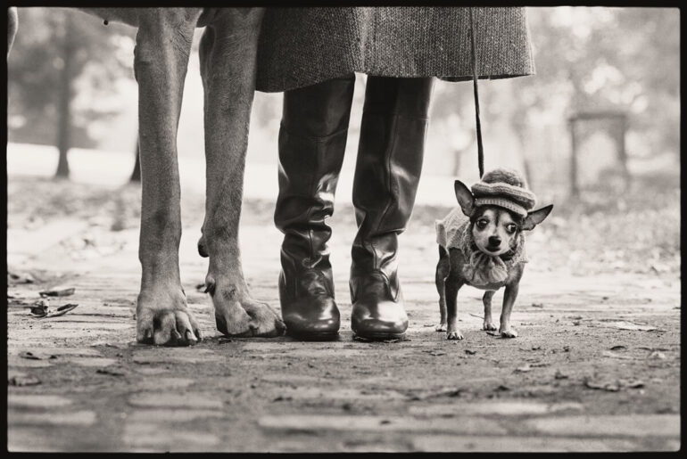 Palazzo Bonaparte hosts the late Elliot Erwitt and his legacy of witty photography